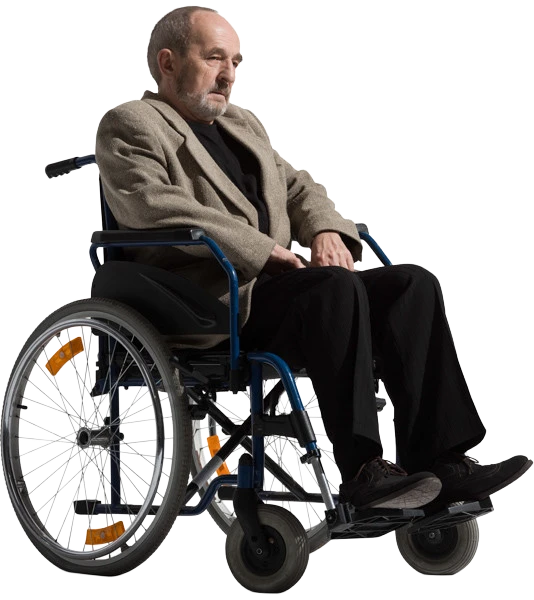 جانباز روی ویلچر